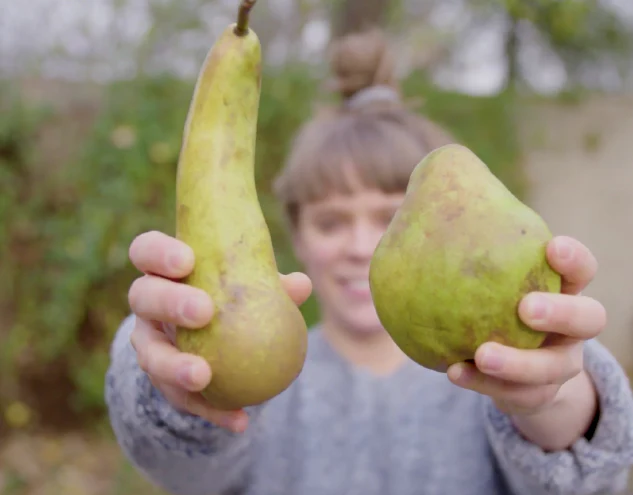 A person holding out a long pear in one hand and a round pear in the other, both close to the camera, with their face blurred in the background, evoking the concept of 