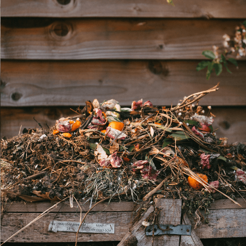 How to do gooder with home composting